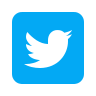 twitter social icon